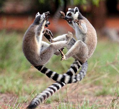 Screen-shot-2012-03-19-at-12.03.24-PM